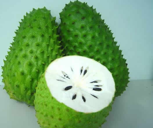Soursop Is a Cure For Cancer